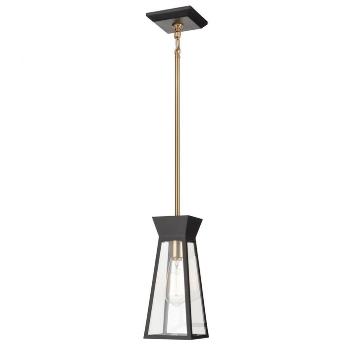 Lucian Single Pendant Black and Brushed Brass