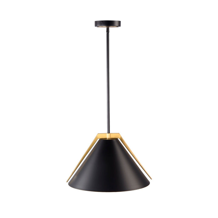 Baltic Collection 1-Light Pendant Black and Brushed Brass