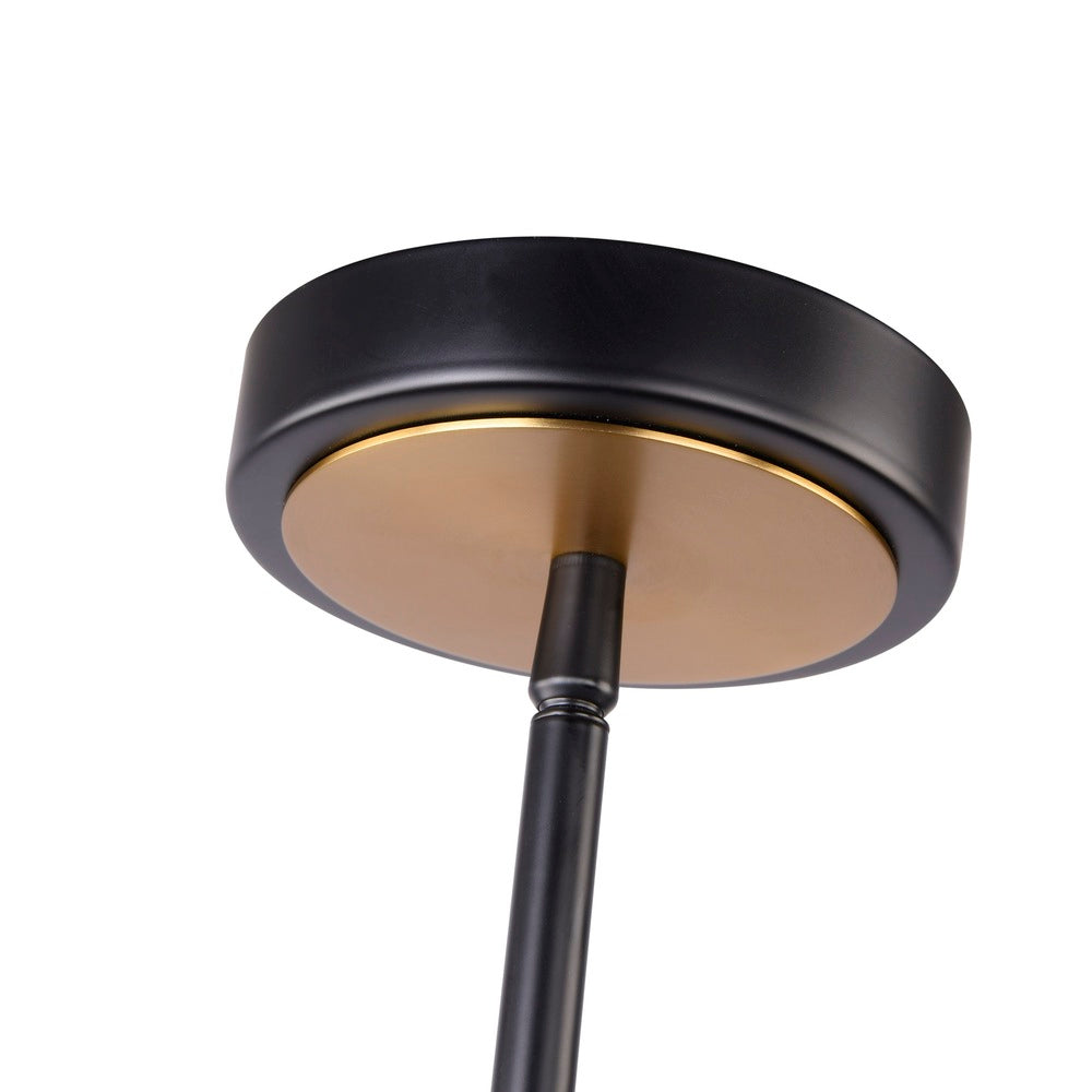 Baltic Collection 1-Light Pendant Black and Brushed Brass