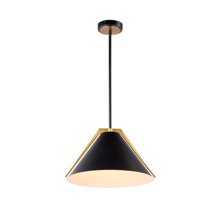 Baltic Collection 1-Light Pendant Black and Brushed Brass