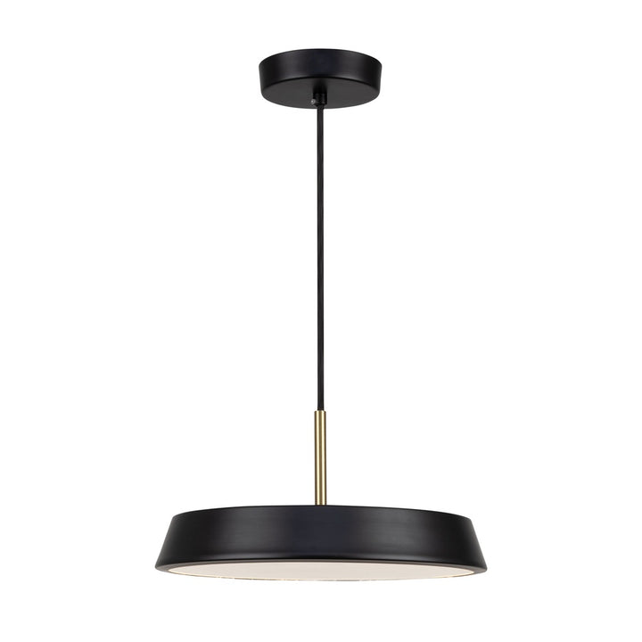 Lexi Collection 1-Light 12" Pendant Black