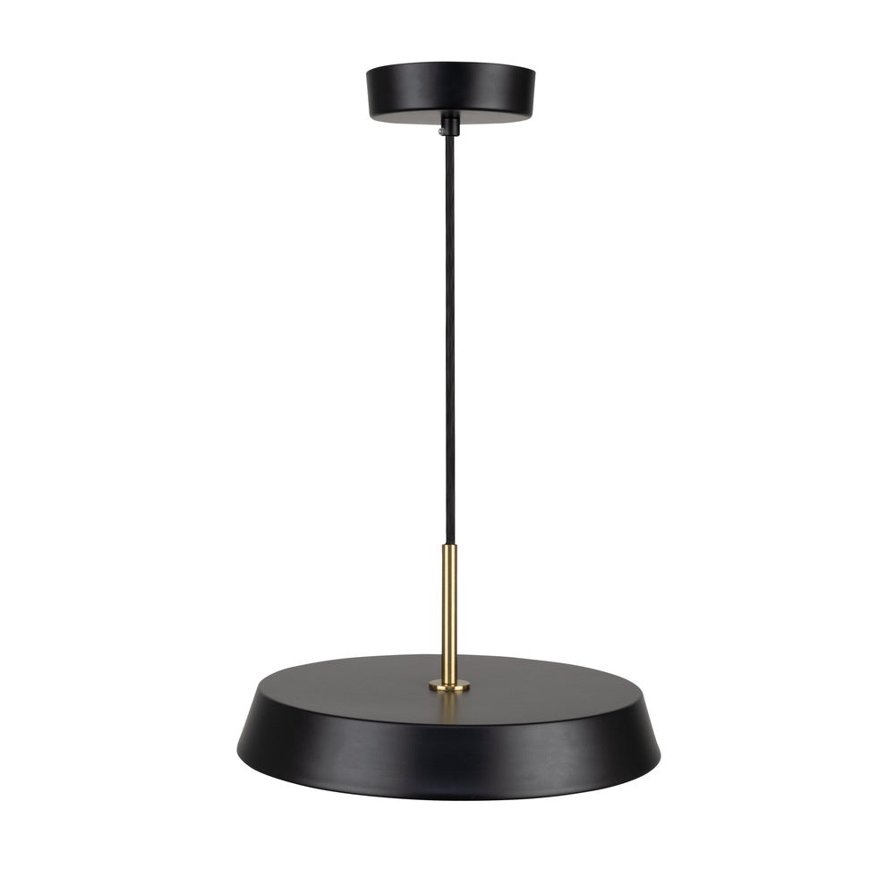 Lexi Collection 1-Light 12" Pendant Black