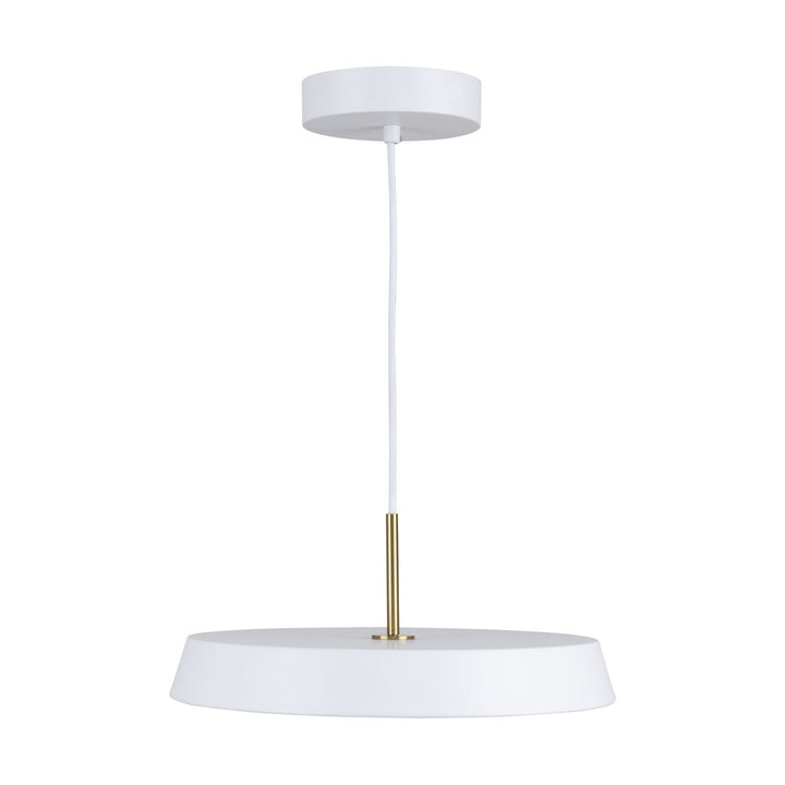 Lexi Collection 1-Light 12" Pendant White