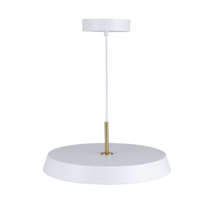Lexi Collection 1-Light 12" Pendant White