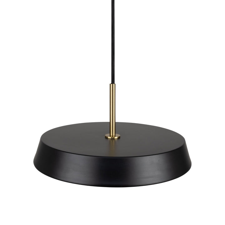 Lexi Collection 1-Light 16" Pendant Black