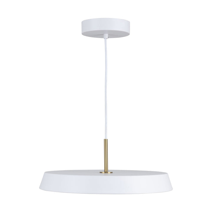 Lexi Collection 1-Light 16" Pendant White
