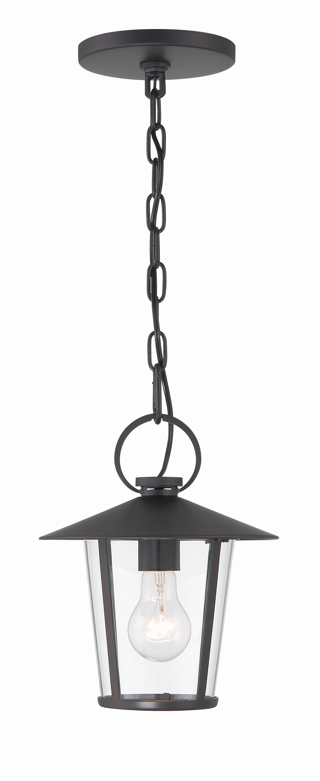Andover 1 Light Matte Black Outdoor Pendant
