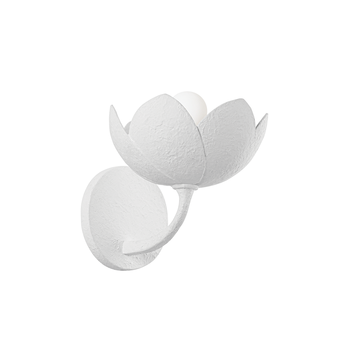 Arcata Wall Sconce