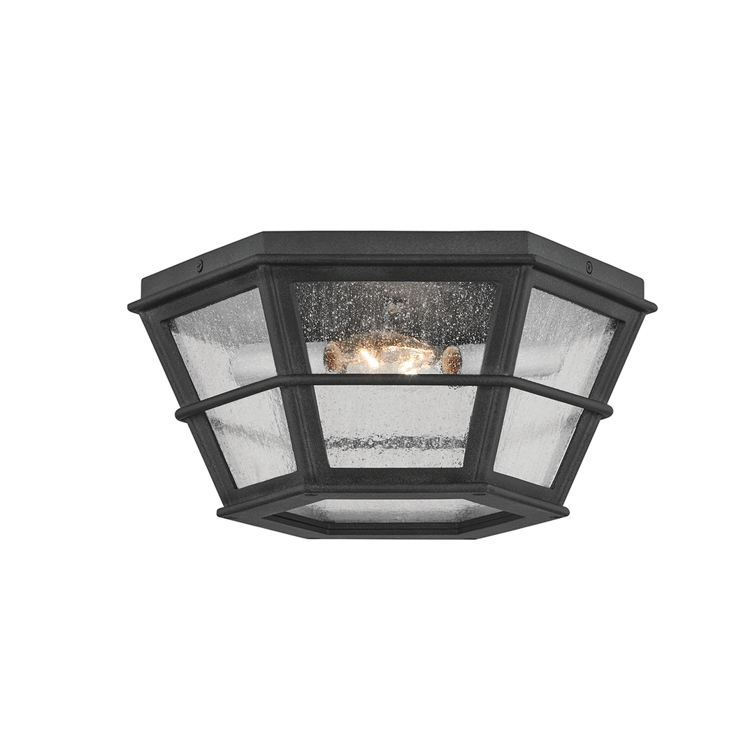 Lake County Exterior Flush Mount