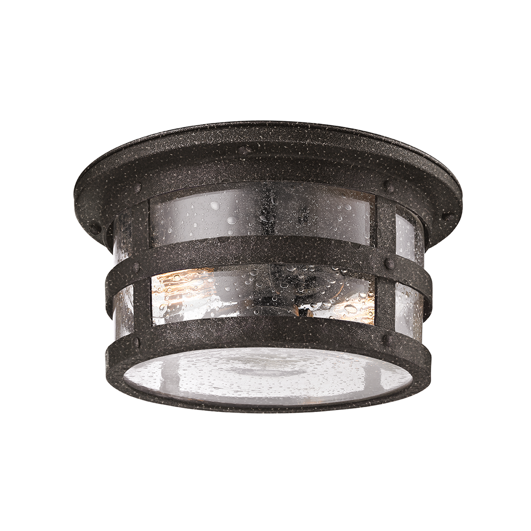 Barbosa Exterior Flush Mount