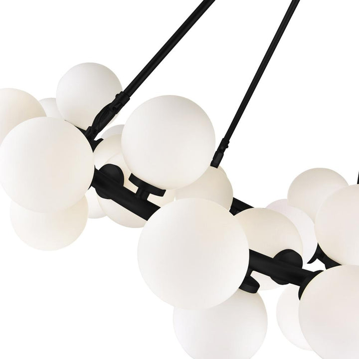 Arya 25 Light Chandelier With Black Finish