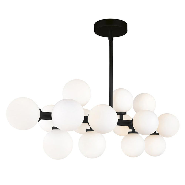 Arya 16 Light Chandelier With Black Finish