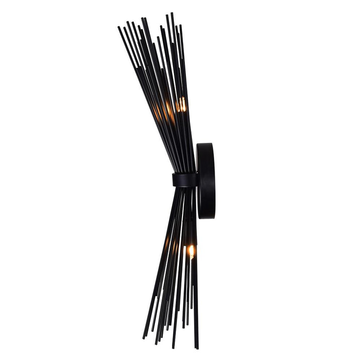 Savannah 2 Light Wall Sconce With Black Finish