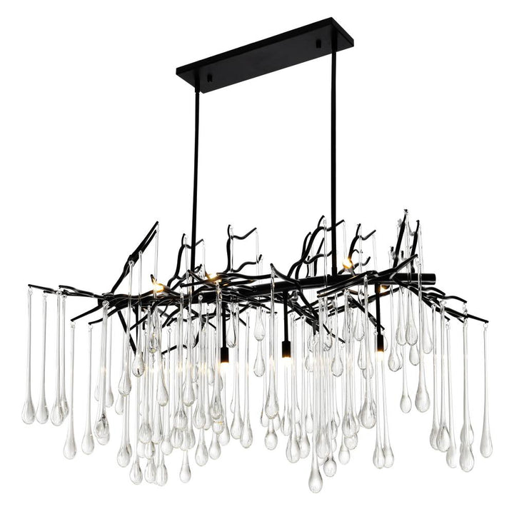 Anita 10 Light Chandelier With Black Finish