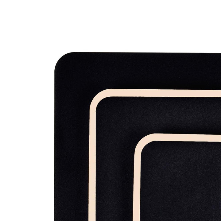 Private I LED Sconce With Matte Black Finish