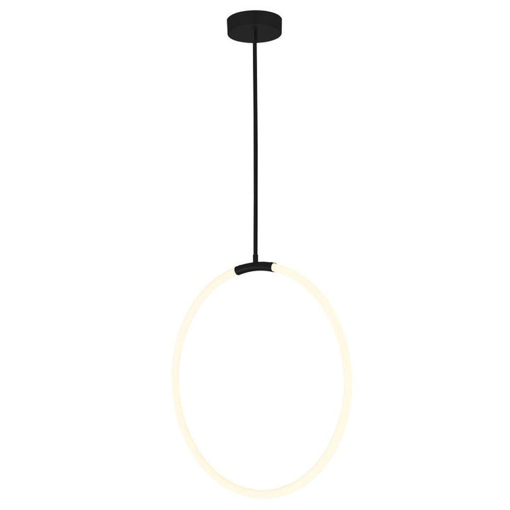 Hoops 1 Light LED Chandelier With Black Finish