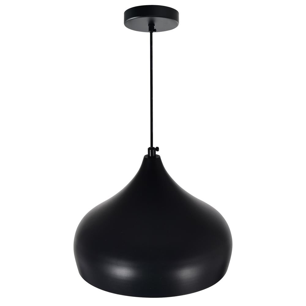 Dynamic 1 Light Down Pendant With Black Finish