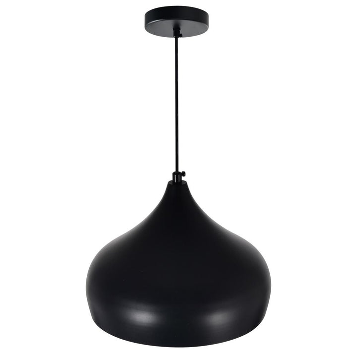Dynamic 1 Light Down Pendant With Black Finish