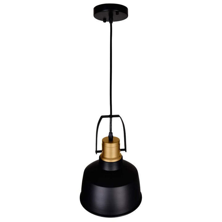 Elisa 1 Light Down Pendant With Black Finish