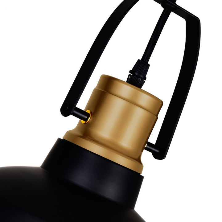 Elisa 1 Light Down Pendant With Black Finish