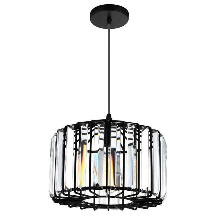 Alethia 1 Light Drum Shade Pendant With Black Finish