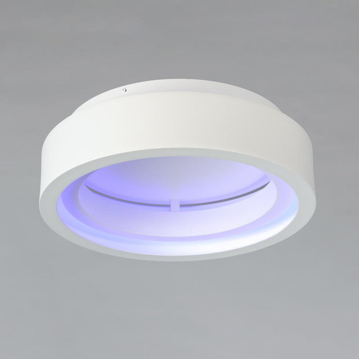 iCorona WiZ-Smart Light