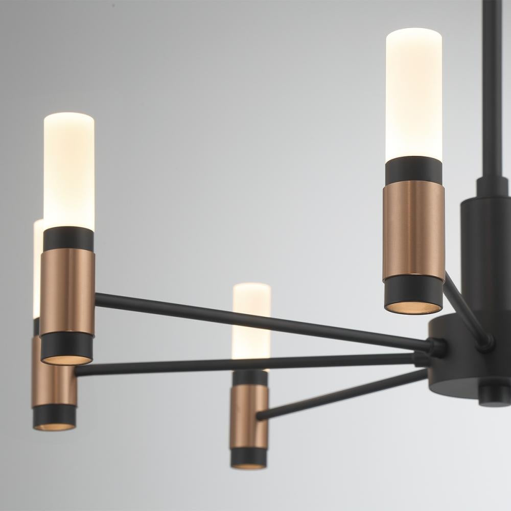 Albany 8 Light Chandelier in Black and Brass
