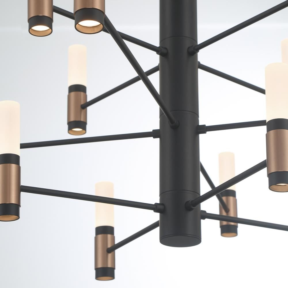 Albany 12 Light Chandelier in Black and Brass