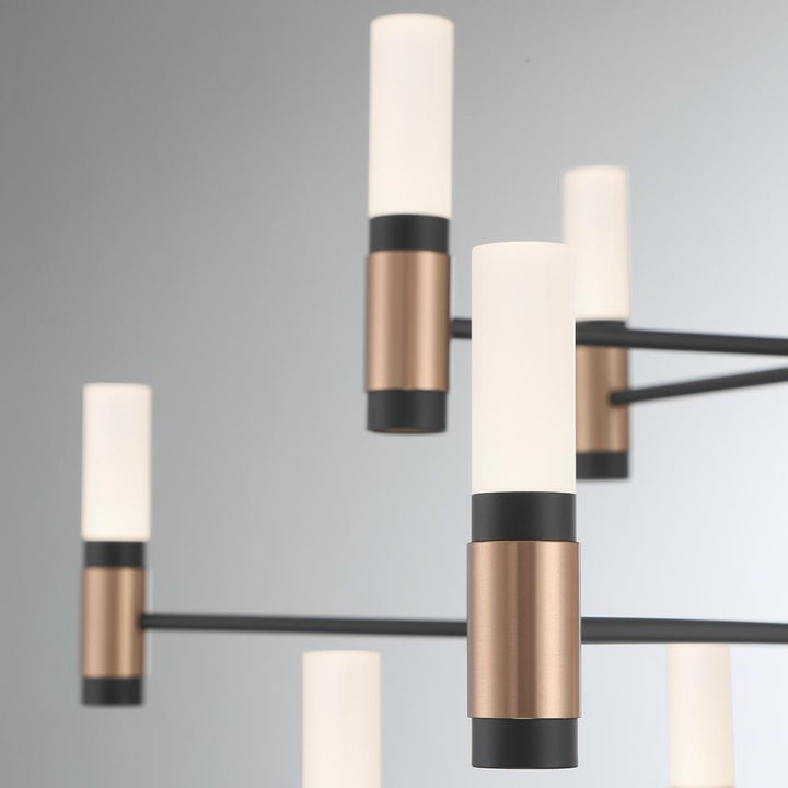 Albany 12 Light Chandelier in Black and Brass