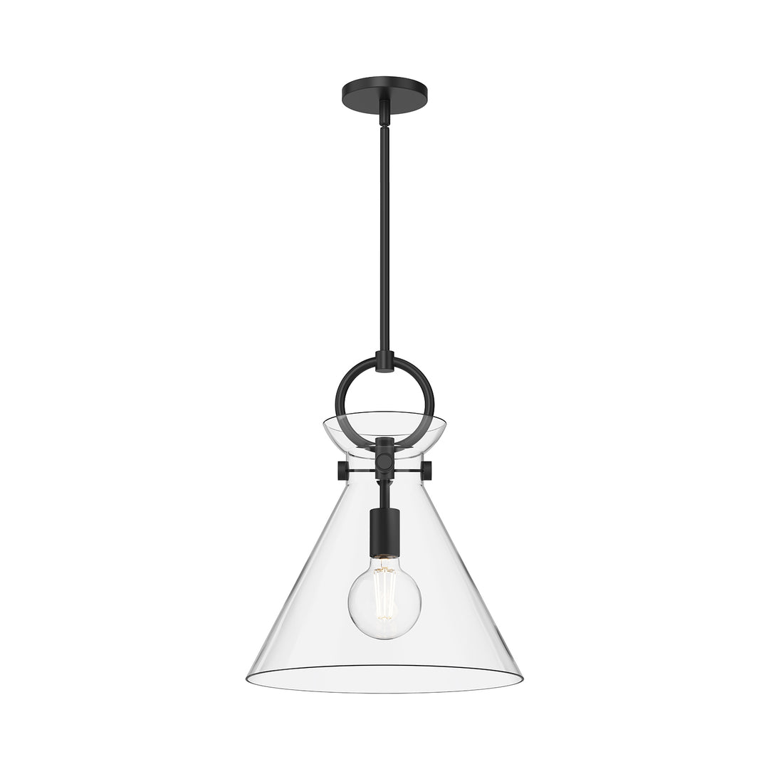 Emerson 14-in Matte Black/Clear Glass 1 Light Pendant