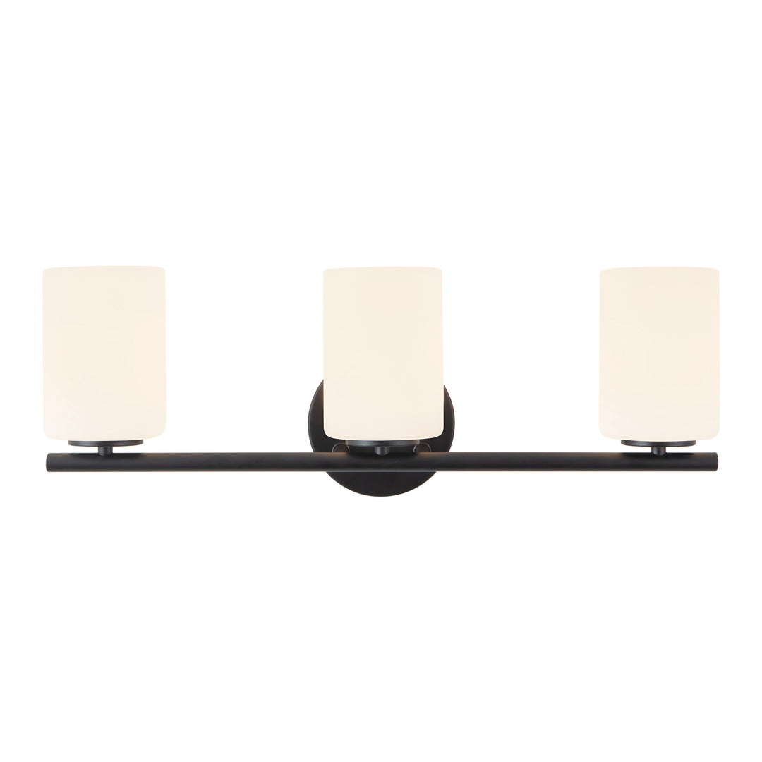 Ezra 22-in Black dimmable Bathroom Vanity Light