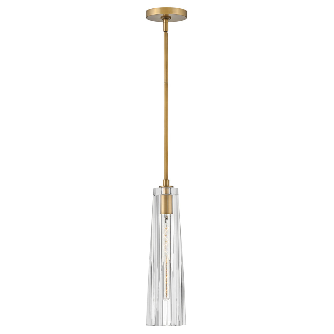 Large Adjustable Pendant