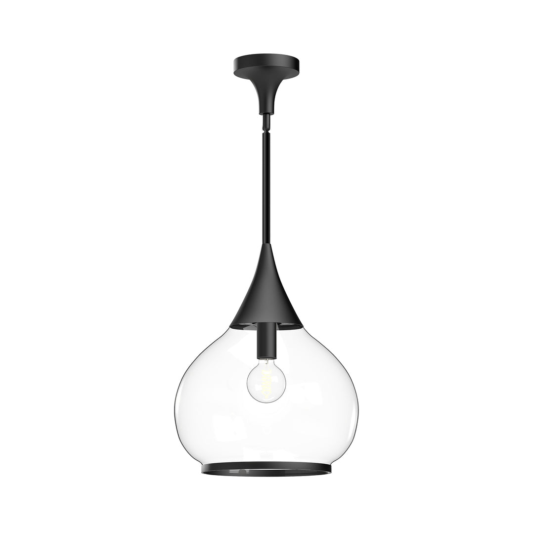 Hazel 14-in Clear Glass/Matte Black 1 Light Pendant