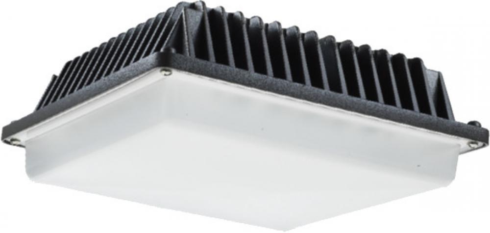 5000K, LED SURFACE CANOPY, SQUARE - SMAL