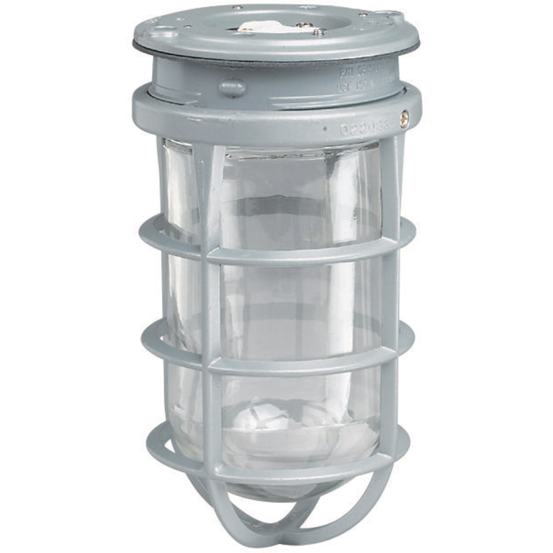 100W V SER INC LTGW/VBA & GRD