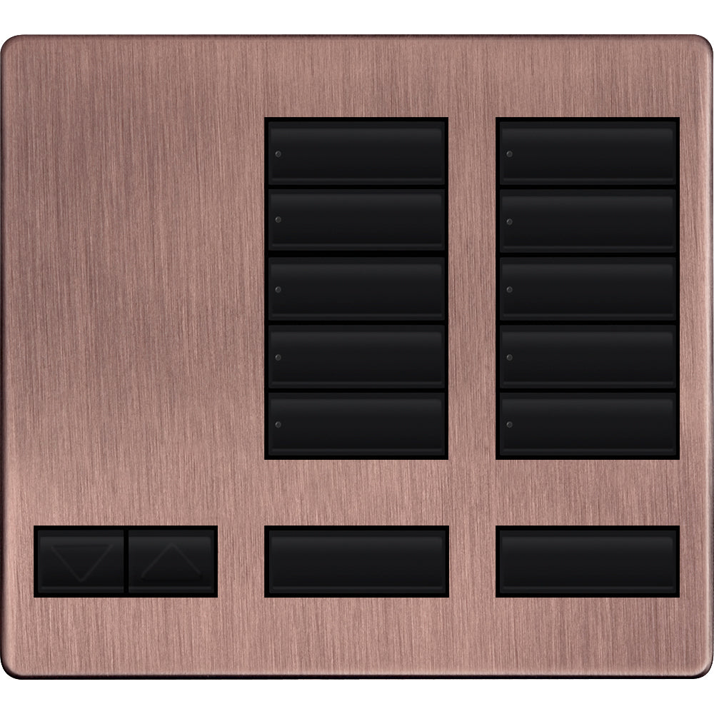 LARGE 10 BUTTON FACEPLATE KIT QZ