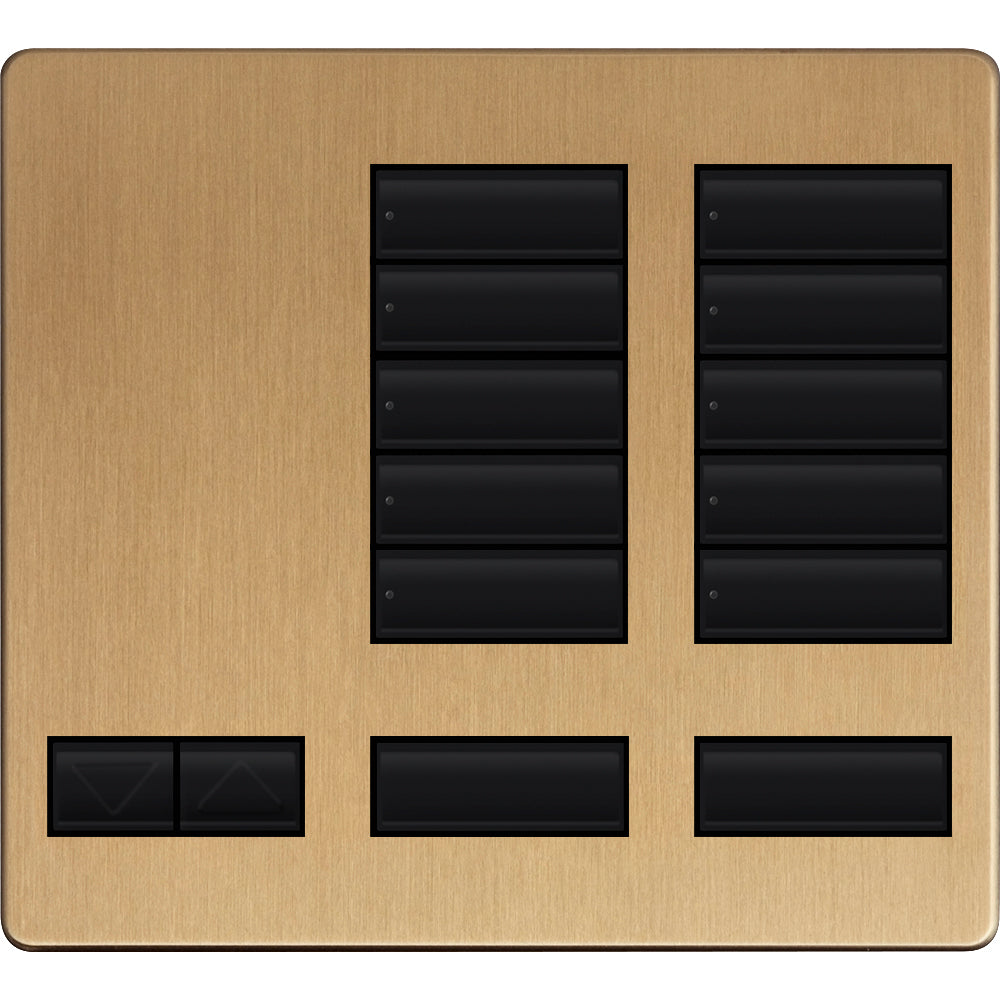 LARGE 10 BUTTON FACEPLATE KIT SB