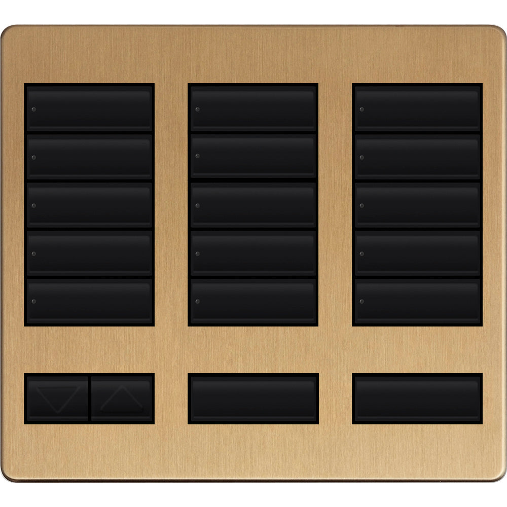 LARGE 15 BUTTON FACEPLATE KIT SB