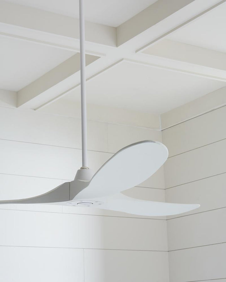 Maverick 60" Ceiling Fan