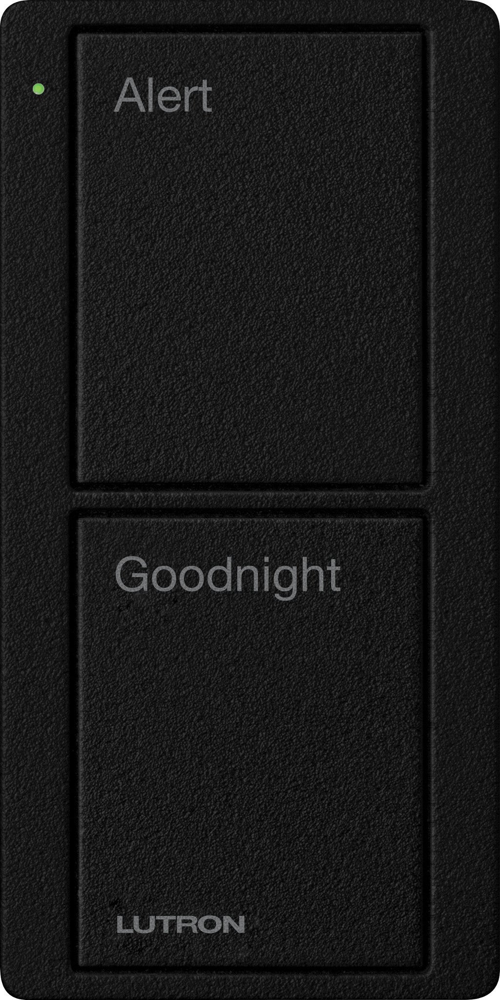 PICO 2B BEDSIDE SCENE TMN