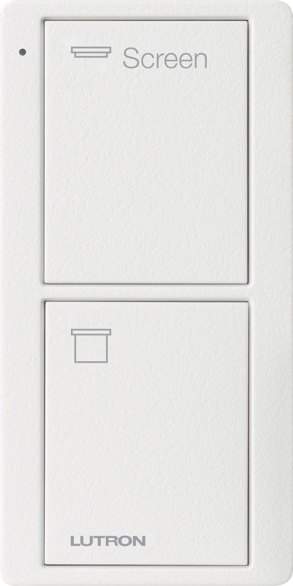 PICO 2B SCREEN ICON SNOW