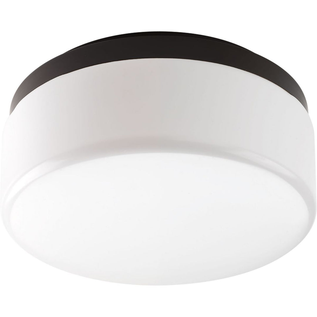 Maier Collection 9in LED Flush Mount BZ