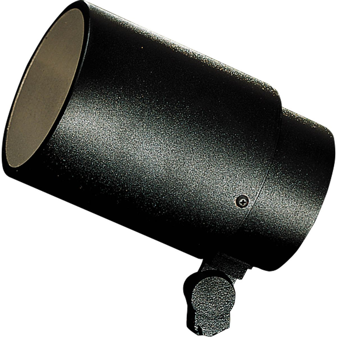 P5235-31 1-150W PAR38 LANDSCP SP