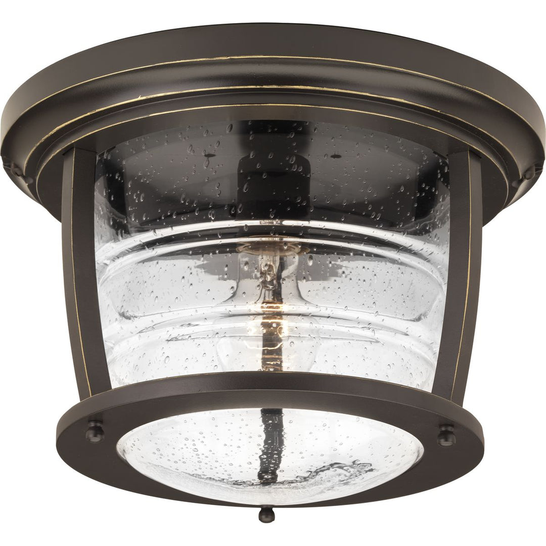 1-100W MED OUTDOOR CTC Brown