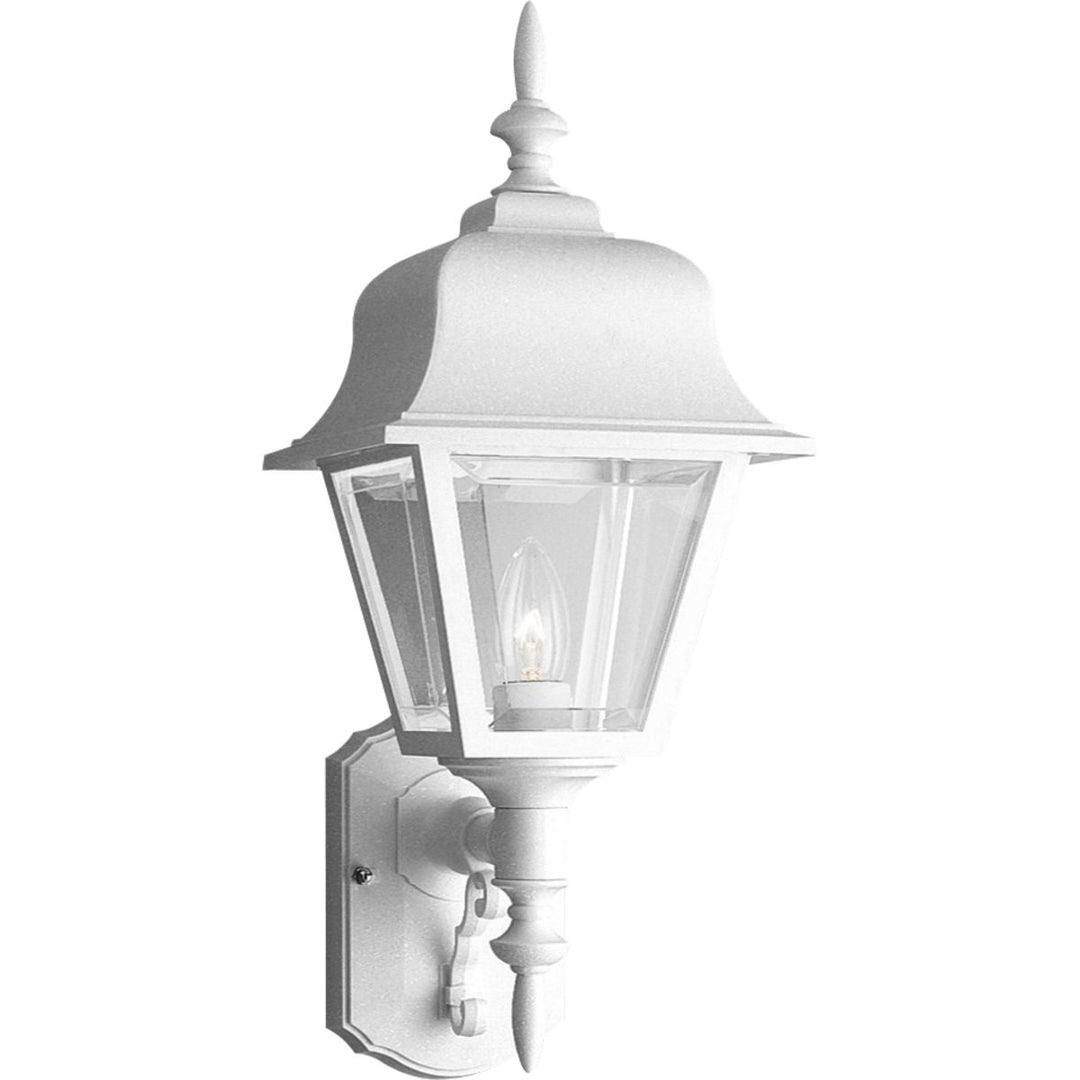 Non-Metallic 1-Light Wall Lantern WH