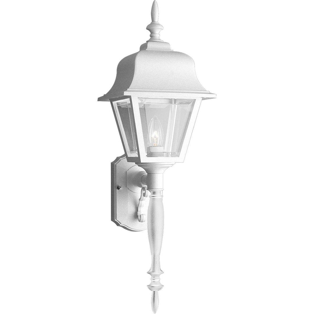 Non-Metallic 1-Light LR Wall Lantern