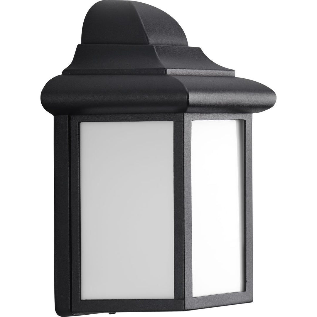 1-13W CFL OUTDOOR WALL LANT Black