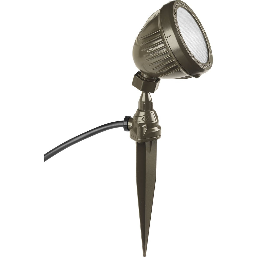 1-Light Flood Light With Spike BZ
