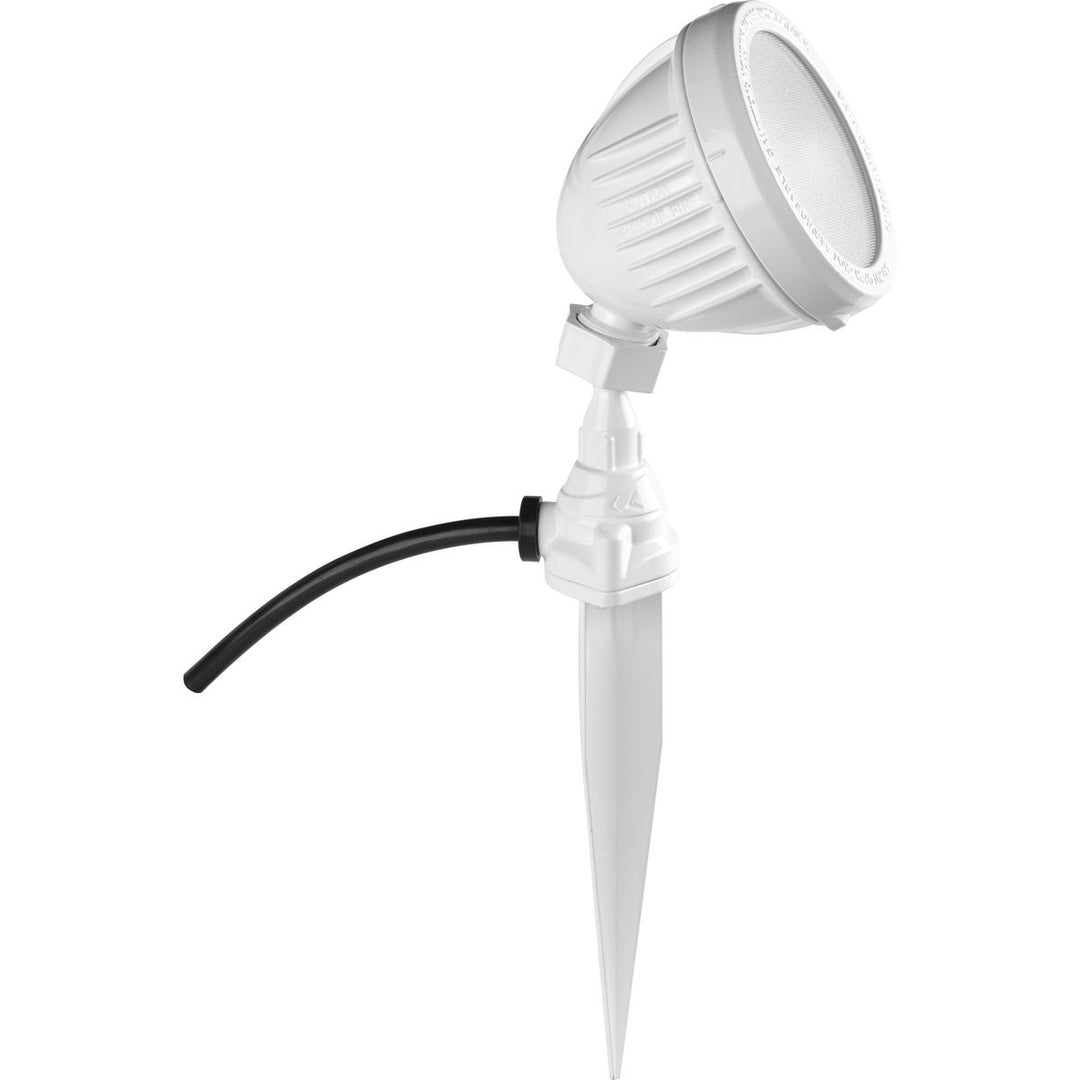 1-Light Flood Light With Spike WH