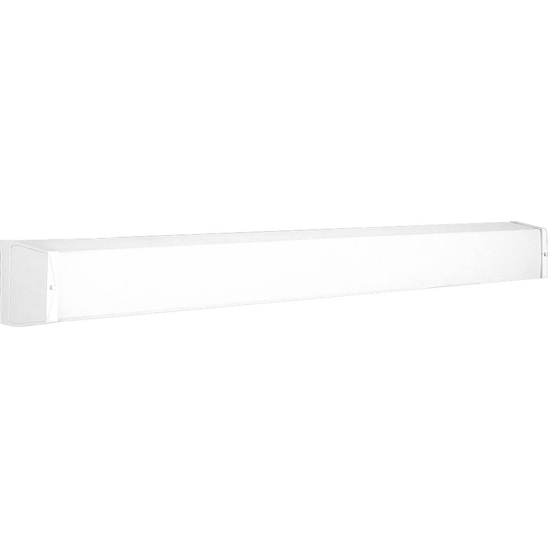 48in 2-Light Linear Fluor Wall Mount